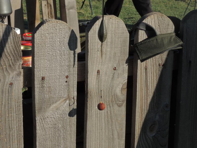 Sulimanu 29 - 31 august 2014 - dscn5868resizezps16ef9633.jpg